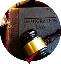 immigration law